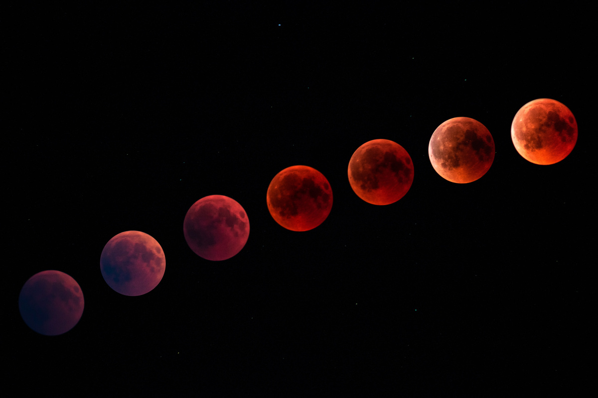 Blood Moon in the Night Sky